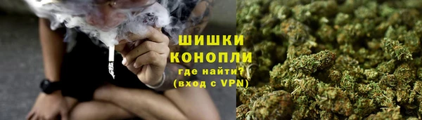 индика Заволжск
