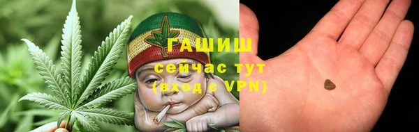 индика Заволжск