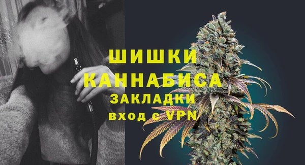 индика Заволжск
