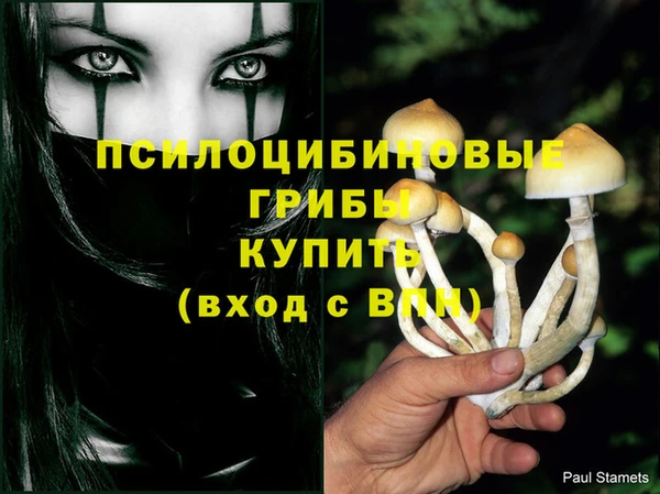 кокаин перу Заводоуковск