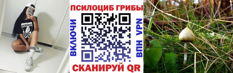 закладки  блэк спрут ONION  Псилоцибиновые грибы прущие грибы  Сызрань 